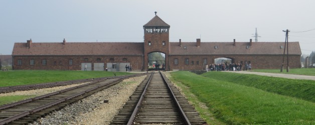 Polen: Heftig Auschwitz en mooi Krakau
