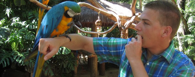 Lima deel 2 en Iguazu deel 2