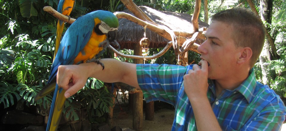 Lima deel 2 en Iguazu deel 2