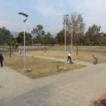 Cricket in de stadsparken